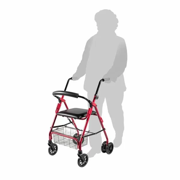 Ходунки-роллаторы Barry RollPush Ходунки-роллаторы Barry RollPush