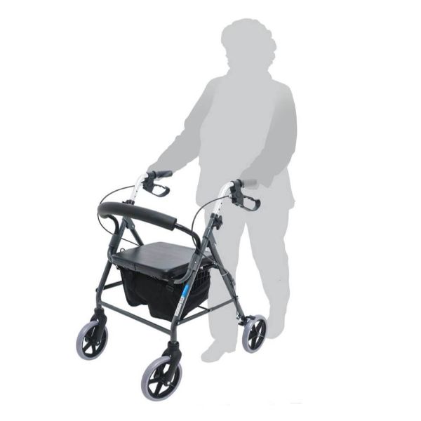 Ходунки-роллаторы Barry R Euro